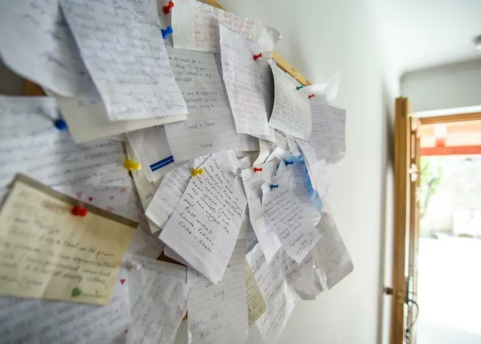 California 3 두브로브니크